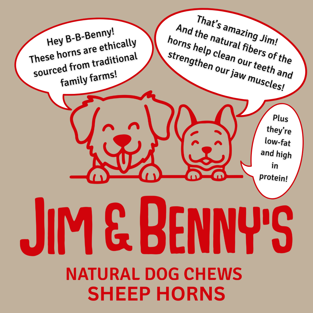Sheep Horn Chews for Dogs