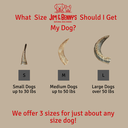 Sheep Horn Chews for Dogs